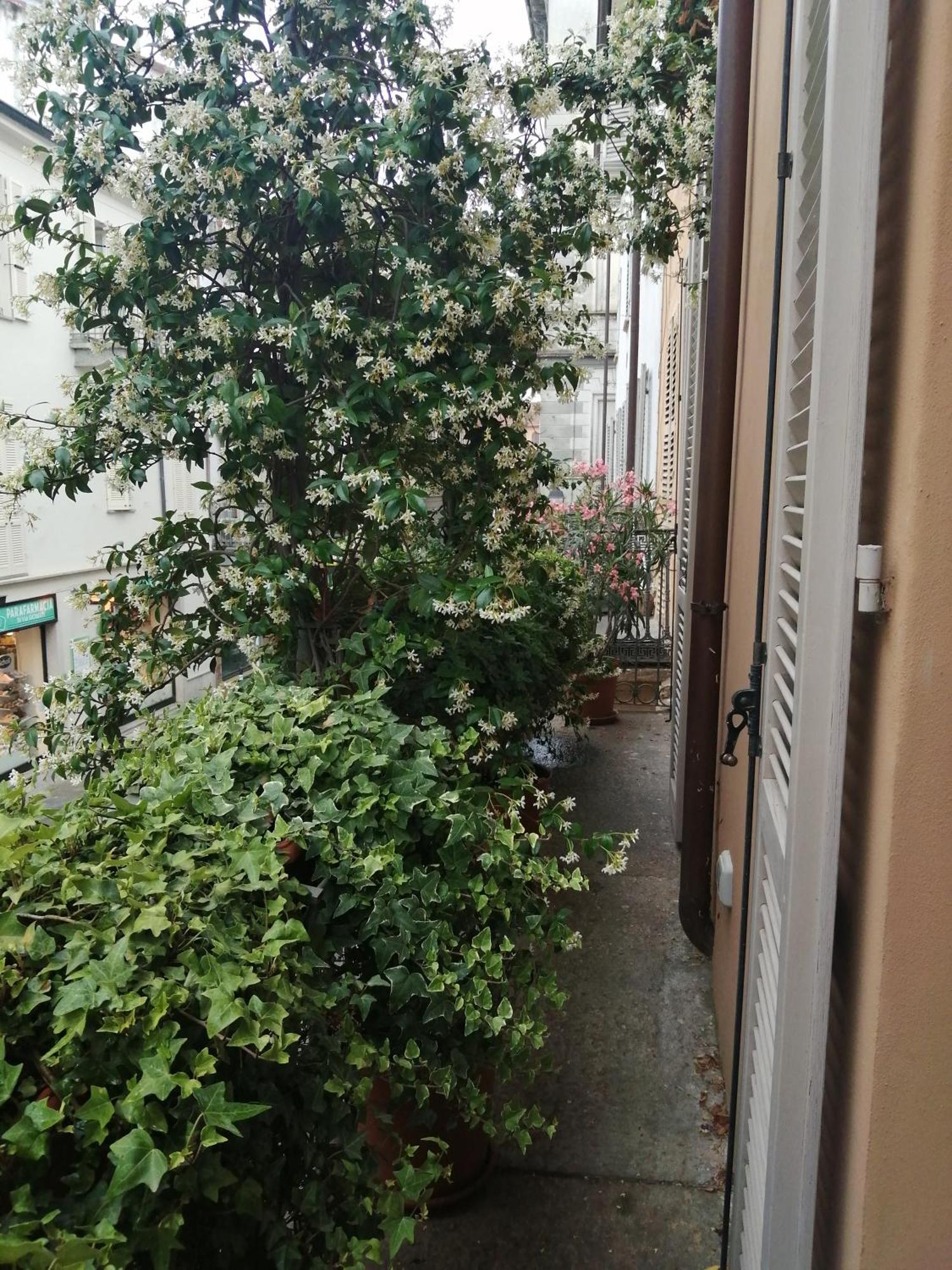 Apartamento Le Melusine Vercelli Exterior foto